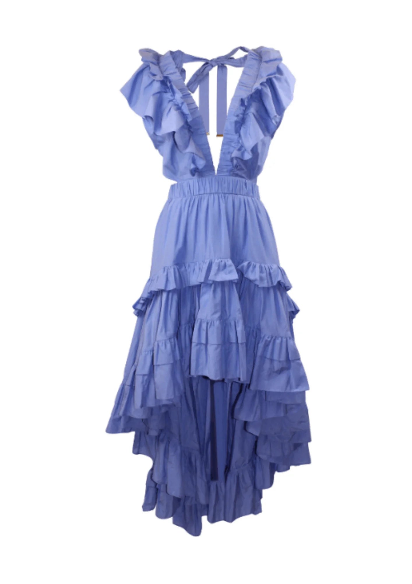 BLUE BOTANIC DRESS